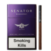 Senator Nano Blueberry Sigara - Tobacco Sepeti